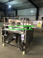 Vente directe usine Machine à dénoyaouter et à fendre les olives, dattes et cerises, à moteur