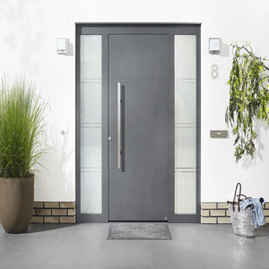 Set Pintu dan Jendela Depan Modern Manual Kustom Lolands, Pintu Tunggal Logam Abu-abu dengan Panel Samping Kaca Buram - Product Image 2