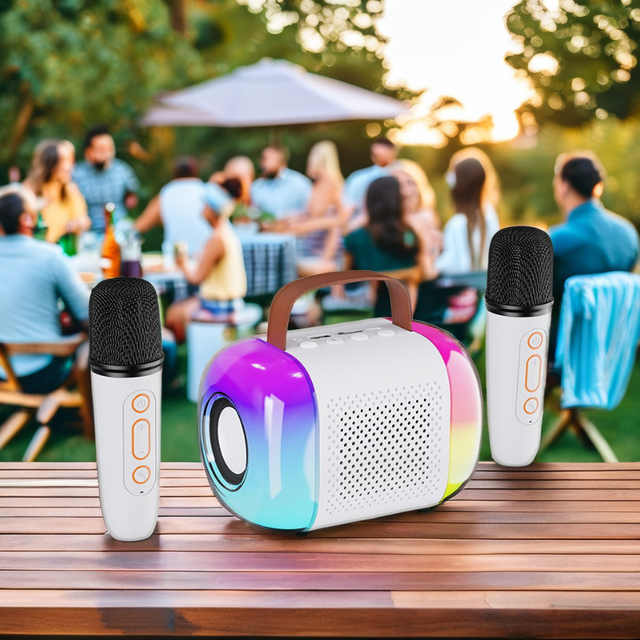 Portable Bluetooth Karaoke Speaker With Colorful LED Flash Light and Convenient Carrying Handle Made in China