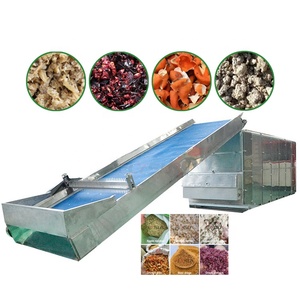 Séchoir à bande continue pour levure de bière, pain de mie, bagasse de canne à sucre et déchets alimentaires - Product Image 1