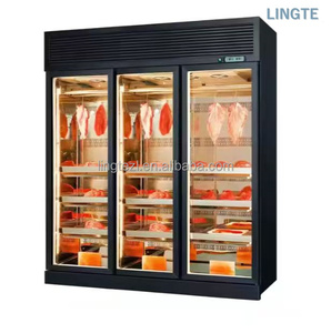 Vente flash : Équipement de réfrigération/réfrigérateur pour steak de bœuf vieilli à sec espagnol pour les cuisines de restaurants - Product Image 6