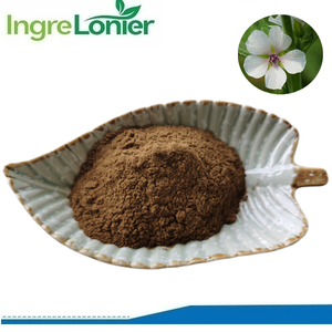 Bulk Supply Pure Água <span class=keywords><strong>Natural</strong></span> Solúvel <span class=keywords><strong>Marshmallow</strong></span> Extrato Pó Althaea Officinalis <span class=keywords><strong>Root</strong></span> <span class=keywords><strong>Extract</strong></span> para Suplemento - Product Image 2