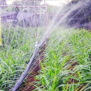 Irrigatore da giardino 20-75mm materiale PE nastro spray pioggia tubo sistema di irrigazione