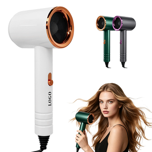 0728 Commande en gros Sèche-cheveux professionnel léger 800W à moteur à balais, air chaud et froid, styler intelligent - Product Image 1
