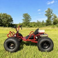 Kart électrique tout-terrain 48V 500W 20Ah, buggy de plage, pour enfants et adultes, conduite tout-terrain, voiture de dérive, transmission par arbre
