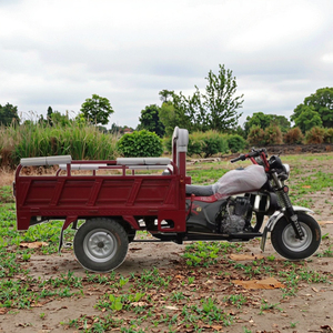 Trung Quốc nhà máy 150cc làm mát bằng không khí ba bánh xăng động cơ ba bánh xe Cargo ba bánh nhà sản xuất - Product Image 6