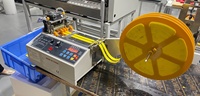 Máquina de Corte de Satén de Poliéster de Alta Velocidad y Precisión Automática con Pantalla LCD para Etiquetas de Ropa