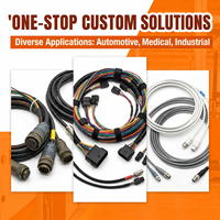 Rangkaian Kabel Harness Industri Kustom untuk Peralatan Otomasi, Kabinet Kontrol Robot, Sensor, Perangkat Medis OEM ODM