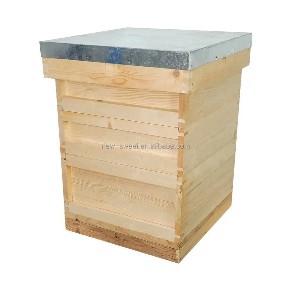 Komple arı kovanı kiti harbiyeli ulusal sedir ağacı 3 katmanlı arı kovanı arı kovanı İngiliz standardı
