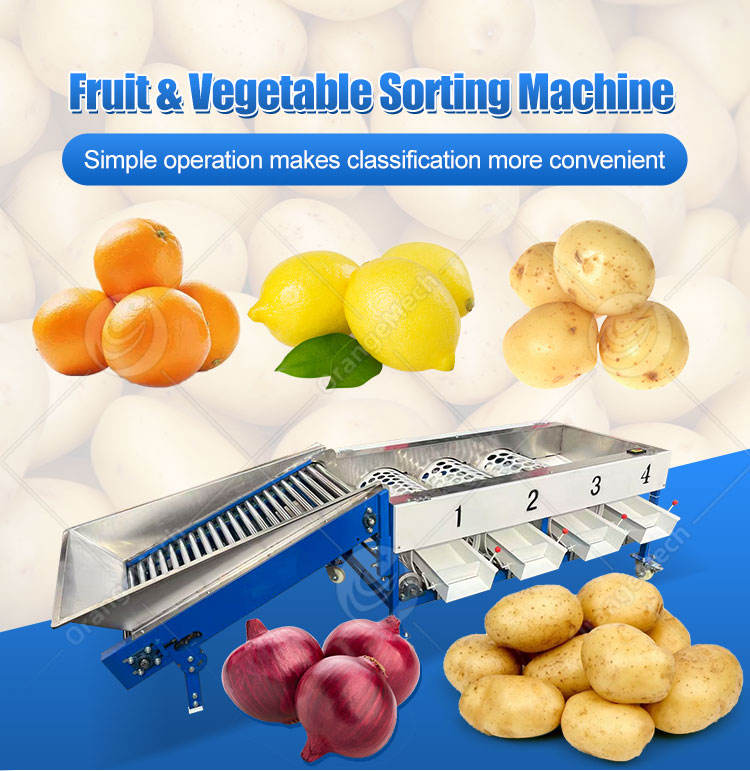 Automatic Fruit Vegetable Sorter Potato Small Tomato Grading Production ...