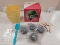 Kit de culture de plantes et de fleurs pour enfants avec serre, ensemble de jardinage sur mesure pour les célébrations du Nouvel An chinois et de Pâques