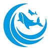Yuanshi County Blue Whale Trading Co., Ltd. logo