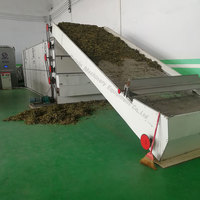 Industriële Rode Peper Kruiden Fruit Dehydrator Chili Pistachenoten Macadamia Noten Droogmachine Continue Meerlaagse Riem Droger