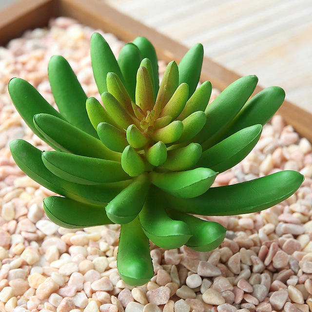 สีเขียว