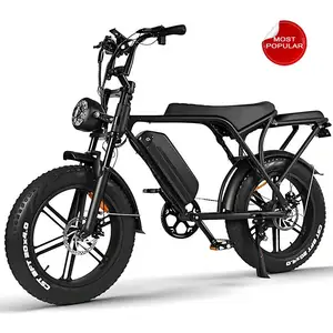V8 H9 산 전자 먼지 ebike 오프로드 전기 오토바이 전자 자전거 eu 창고 전기 먼지 자전거