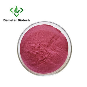 食品グレードビルベリーエキスアントシアニジン粉末ハーブエキスドラム包装工場供給 - Product Image 2