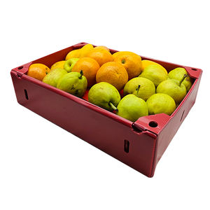 59/ cartonppboxplasticpppp hot sell cheapppboxdisposable food