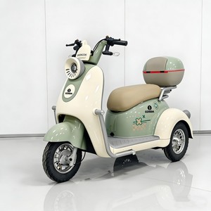 Nuevo triciclo eléctrico de pasajeros de China motocicleta abierta de tres ruedas al precio más favorable voltaje de 48V - Product Image 5