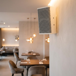 S205 dual 5 inch 10inch 200W 400W Passive professional full range speaker for meeting room shop hall hotel club - Product Image 5