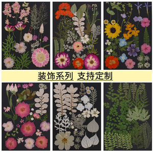 22-36 piezas/paquete flor prensada Asst. Bolsa para MARCO <span class=keywords><strong>DE</strong></span> ARTE Decoración del hogar Vela <span class=keywords><strong>de</strong></span> Arte <span class=keywords><strong>de</strong></span> resina - Product Image 2