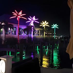 Lớn nhân tạo <span class=keywords><strong>LED</strong></span> Palm <span class=keywords><strong>Tree</strong></span> ánh sáng RGB màu sắc thay đổi cho ngoài trời Vườn thương mại chiếu sáng cảnh quan cho các sự kiện và công viên - Product Image 6