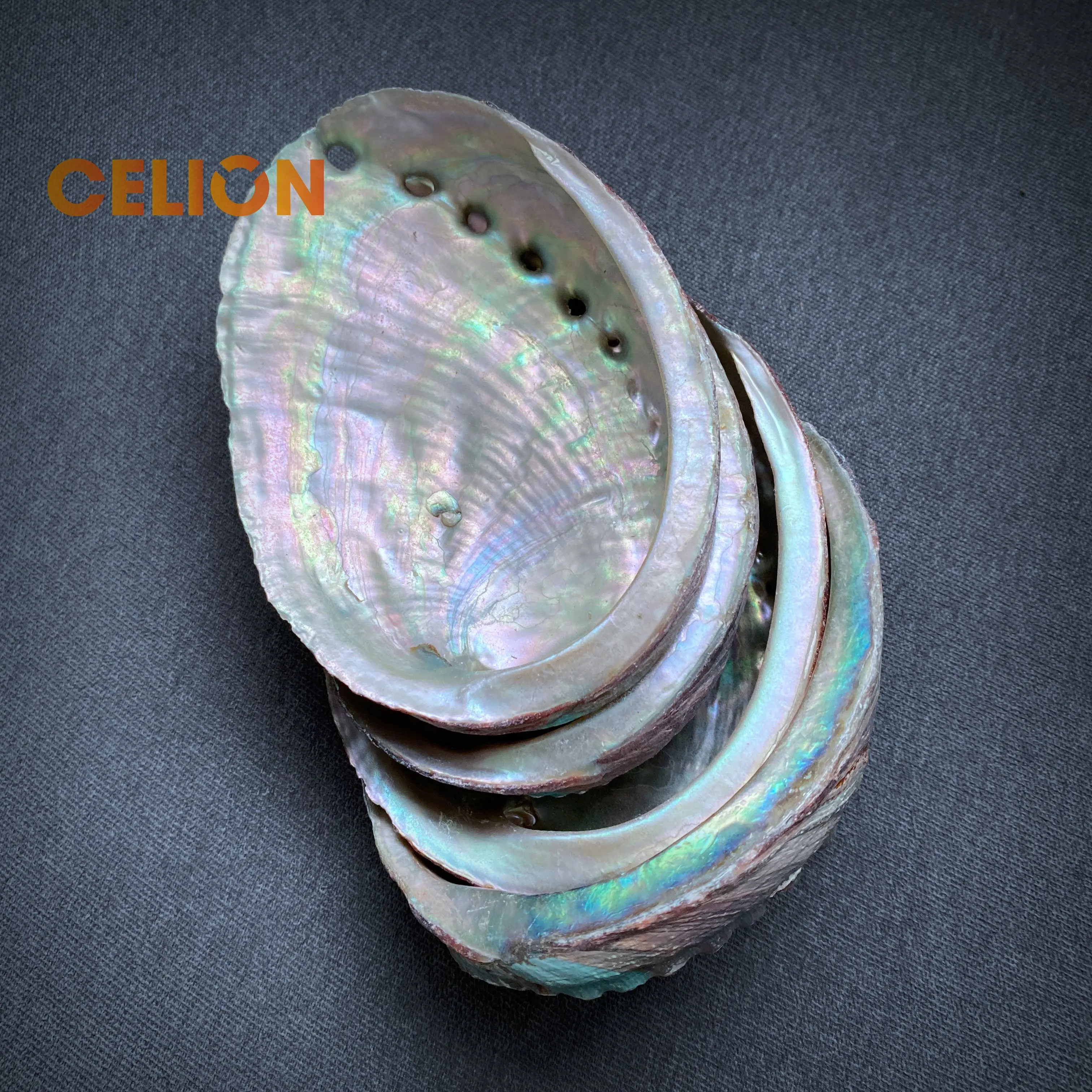 CELION מפעל ישיר לגרש שלילי אנרגיה מכירה Abalone מעטפת סיטונאי מריחות ערכת Abalone למכירה