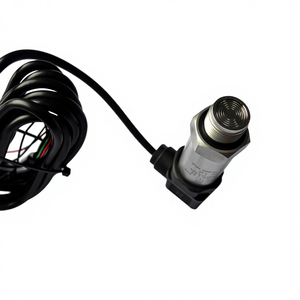 Transmissor de Pressão com Diafragma Flush Hirschmann Sensor em Aço Inoxidável IP65 TLW-308 para Indústria Alimentícia e de Leite - Product Image 2