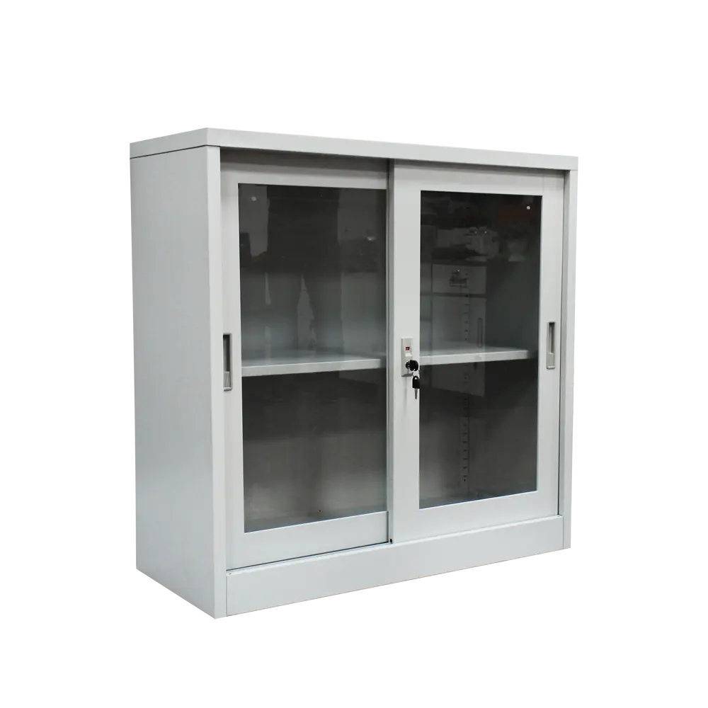 Steel Grain Office File Iron Reference Financial Voucher Storage Low Cabinet