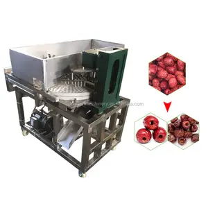 Factory Wholesale Red Dates Pitter Olive Core Peach Pitting Machine Fruit Stone Removing Machine for Fruit Production Plant