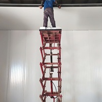 Panneaux sandwich en acier galvanisé de 200 mm avec isolation en polyuréthane PU/PIR, design industriel pour l'isolation des toits et des murs dans les chambres froides