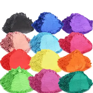 24 Farben Glimmer pulver Perl pigment pulver Bulk Glimmer pulver