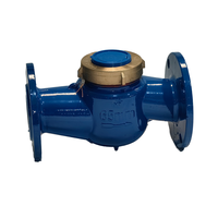Chenshuo Rotary Vane Brass Stainless Steel Water Gauge Meter High Accuracy 2 Liquid Level Measurement Shandong LXS-65 ODM