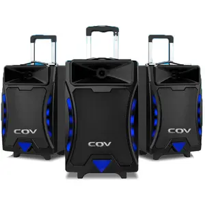 CV-355 COV speaker private models 8inch wooden nice look fashion look