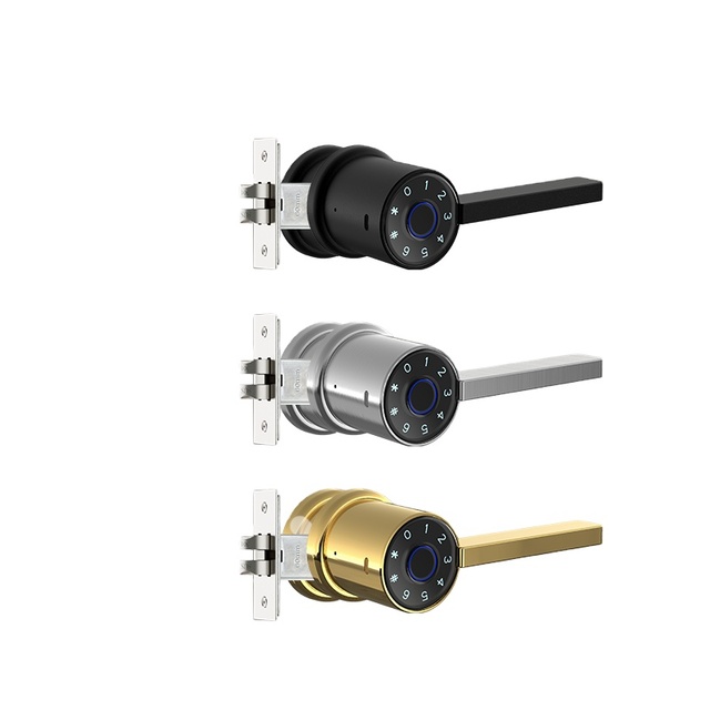 Wireless Remote Control Ic Card Tuay App Wifi Distance Biometric Fingerprint Smart Door Lock for Home