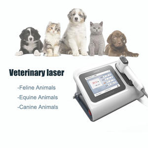 Peralatan Terapi Laser Kelas 4 Tingkat Tinggi untuk Rehabilitasi Pergelangan Kaki Kuda/Kucing/Anjing - Product Image 2
