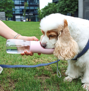 Taza de Agua para Mascotas Multifuncional y de Apariencia Atractiva, de Gran Capacidad, Adecuada como Taza 2 en 1 para Agua y Comida para Perros y Gatos - Product Image 6