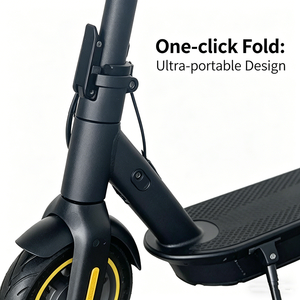 Scooter Todoterreno para Mayores de 12 Años con Neumáticos de Doble Suspensión para Césped, Grava y Pavimento DW-XS-T7-MAX Ajustable - Product Image 3
