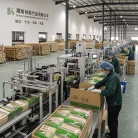 Baguettes en bambou rondes en vrac de 20 cm avec emballage OPP pour la distribution de sushis, la restauration et les services alimentaires