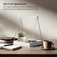 Système de jardinage intérieur HGS09-2CB avec plateau LED pour plantes, support et kit d'éclairage de croissance pour la décoration de bureau à domicile et la création de jardin.