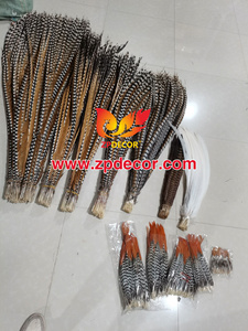Nhà Máy Bán Buôn Từ Zpdecor 150-160 Cm Siêu Dài Tự Nhiên Reeves Gà lôi Đuôi Lông Cho Lễ Hội Trang Phục - Product Image 6