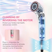Sèche-cheveux professionnel haute vitesse à infrarouge et plasma, avec huile essentielle, 110 000 tr/min, ionique, pour salon, vente en gros