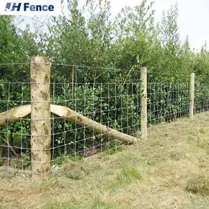 Garden Wire Mesh Keep Your Plants Flowers Safe From Pests Our Decorative Strong Cattle Field Fencing Fine Mesh ECO FRIENDLY