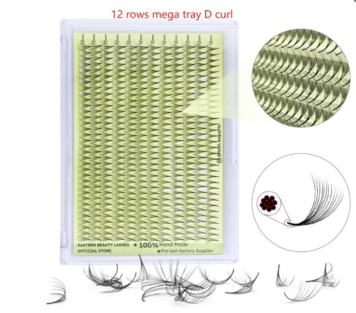 ถาดใหญ่12แถว D ขด