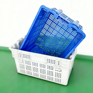 Cestas de Plástico para Almacenamiento de Frutas y Verduras, Capacidad de Carga de 30-60 kg, Alta Resistencia, Uso Industrial - Product Image 3