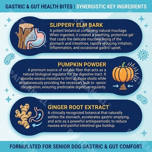 Suplemento Probiótico para la Flora Intestinal de Perros Mayores, Masticables Blandos para el Apoyo Gástrico, Salud Digestiva y Equilibrio Intestinal, 120 Unidades, Marca Privada - Product Image 3