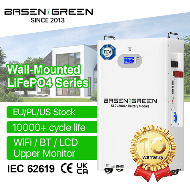 Power Wall 48V 51.2V Lithium Ion Battery 100ah 200ah 300Ah 10Kwh 15Kwh Lifepo4 Solar Home Battery Solar Energy Storage Battery