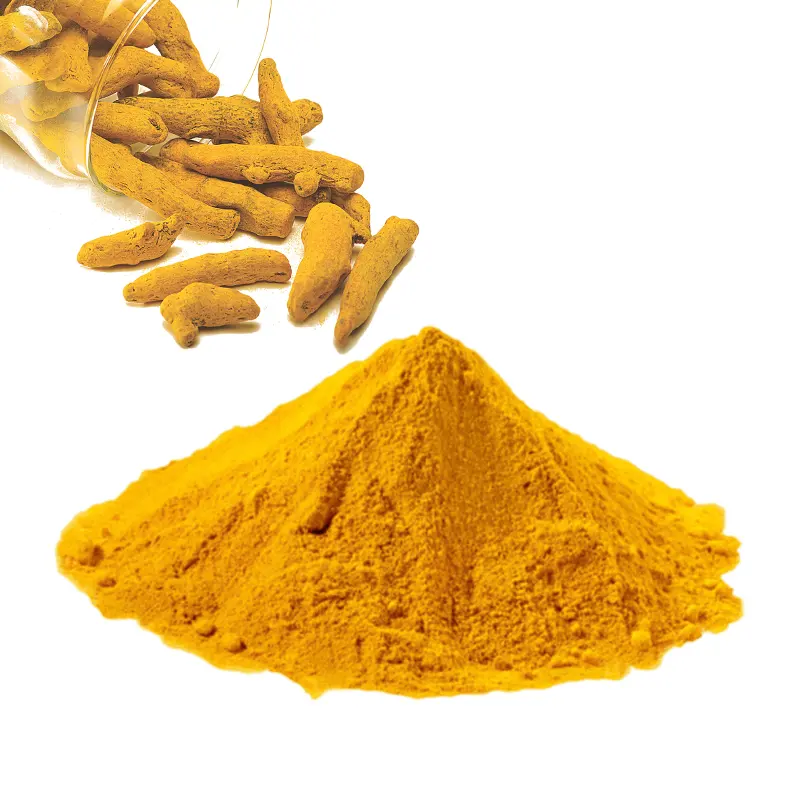 Hochwertiges frisches Kurkuma-Curcumin-Pulver von hoher Qualität