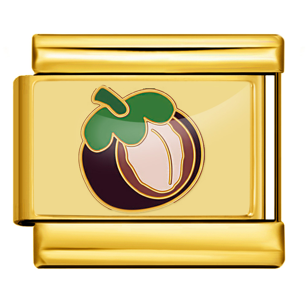 Icp-jc106-4g-mangoustan