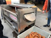 Industriële Borstelroller Pelmachine Efficiënte Plantaardige Wortelaardappelschilmachine Fruit & Groente Schilmachine