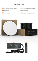 Haut-parleur de plafond sans fil BT5.3 actif/passif avec micros sans fil, systèmes de cinéma maison avec amplificateur